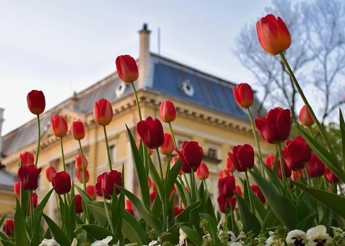 New, Modern And Convenient アパート